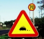 Unusual traffic signs