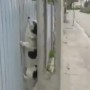 ������ ��������