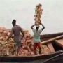 ����, ��� ��������� ������ �������