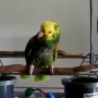 ������� ������, ��� �������