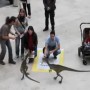 ������ �� National Geographic ����������� ����������