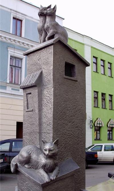кот кот
