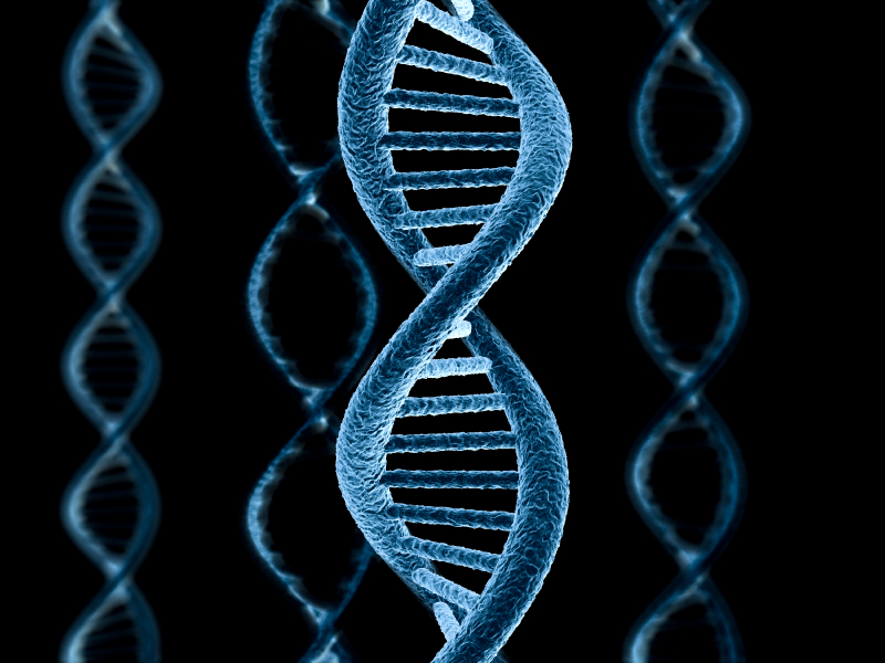 Обнаружена телепатическая связь между молекулами ДНК, ДНК, гены
