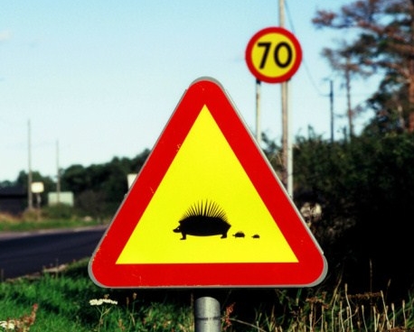 Какие дорожные знаки — самые странные?