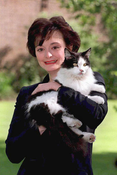кот кот