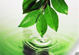 nature.jpg Природа.jpg