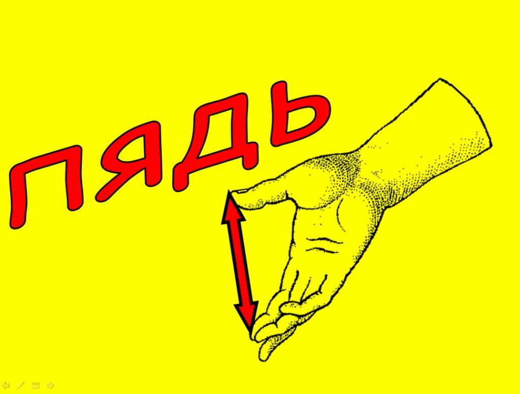 Урок кейс «Как измеряют длину?» » портал