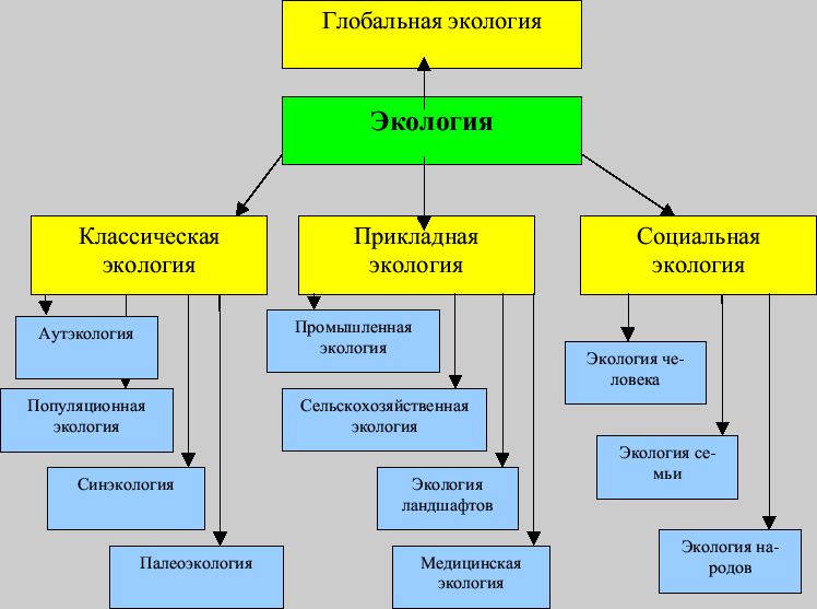 эко эко