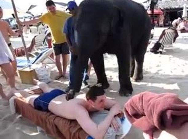 На массаж к слону 2