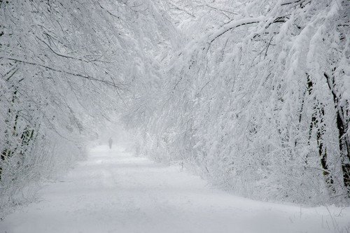 зима зима фото