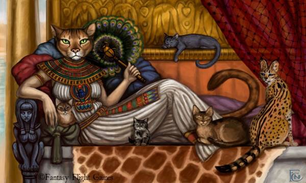 кот кот