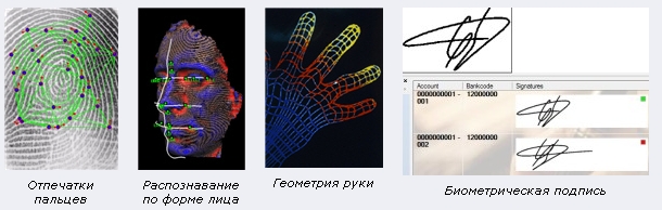 биометрическая идентификация биометрическая идентификация