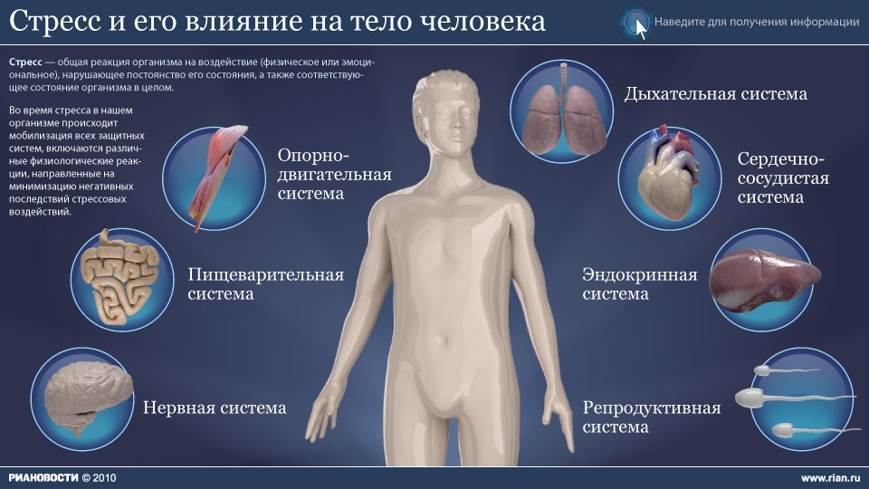 стресс стресс