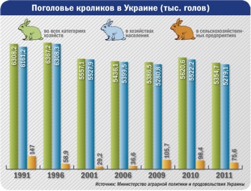 бизнес и кролики бизнес и кролики