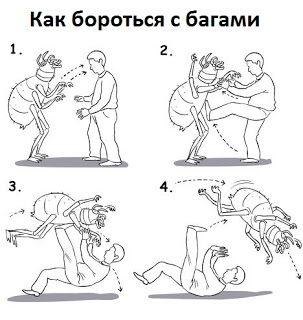 тестировщик тестировщик