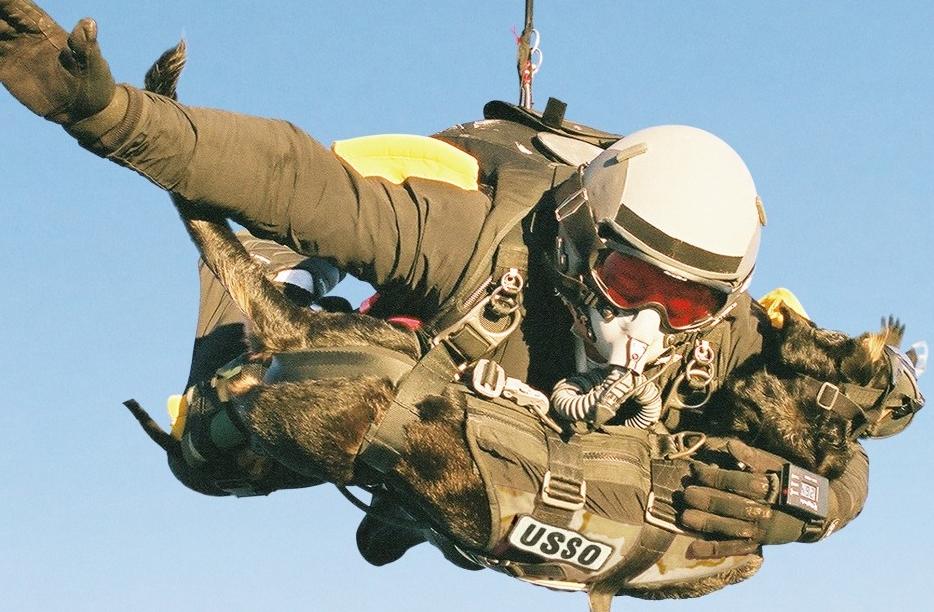 кинолог кинолог