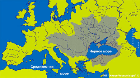 евразия евразия