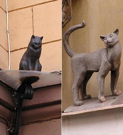 кот кот