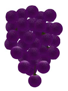фото виноград