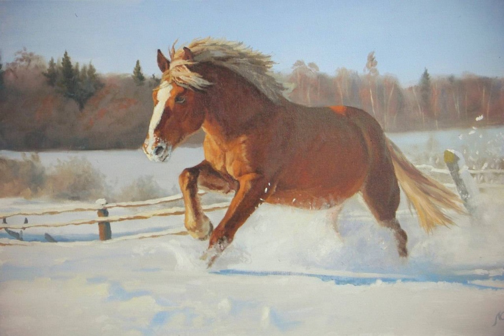 лошади лошади