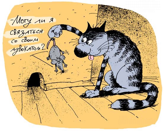 адвокат 18.jpg