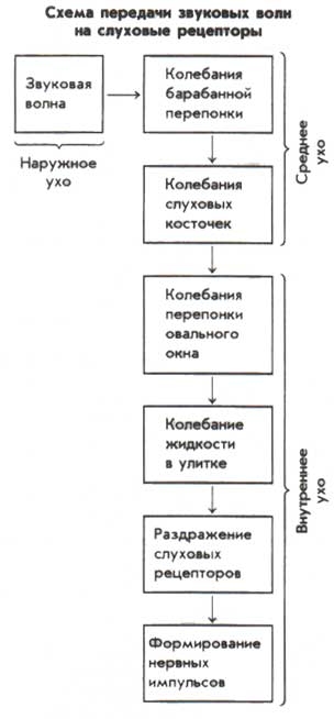 звук звук