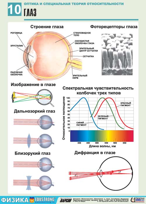 глаз глаз