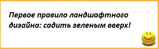 сад сад