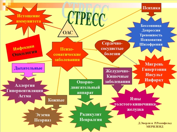 стресс стресс