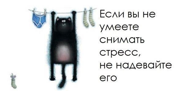 стресс стресс