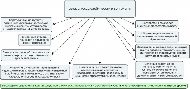 коучер коучер