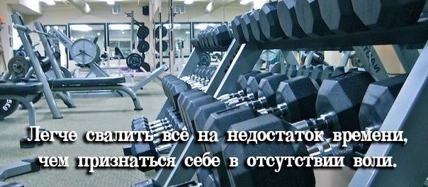 сила воли сила воли