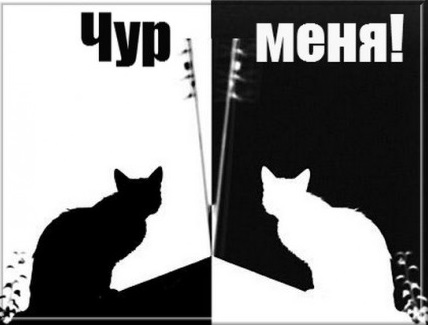 кот кот