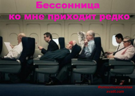 прикольные фото скачать бесплатно