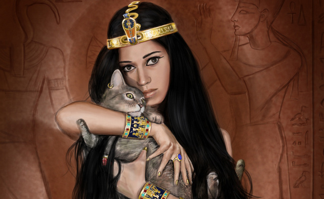 кот кот