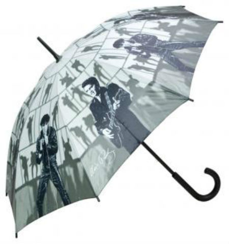 зонт 2011 фото