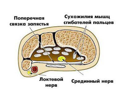 нерв нерв