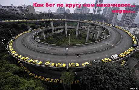 приколы смотреть приколы смотреть