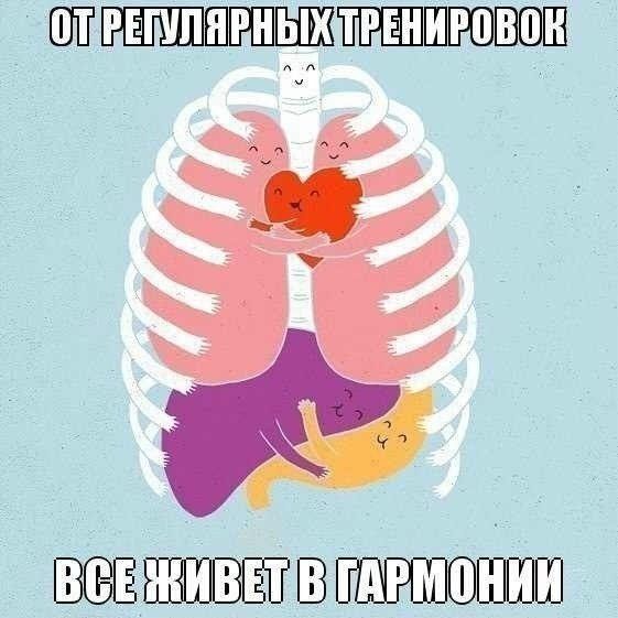 21.jpg 21.jpg