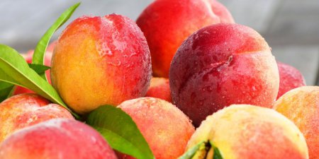 Вкусная и здоровая персиковая диета