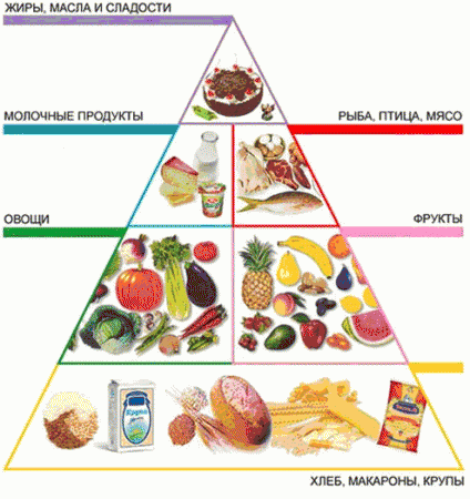 пирамида правильного питания
