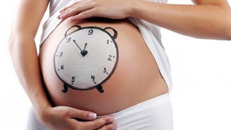 как узнать срок беременности