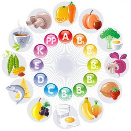 15 головних правил здорового харчування