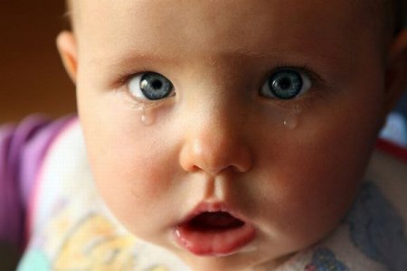 ребенок плачет 8 месяцев