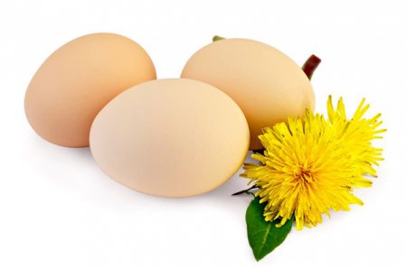 Диетологи советуют: включите в здоровое питание яйца