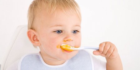  Как научить ребенка кушать самостоятельно