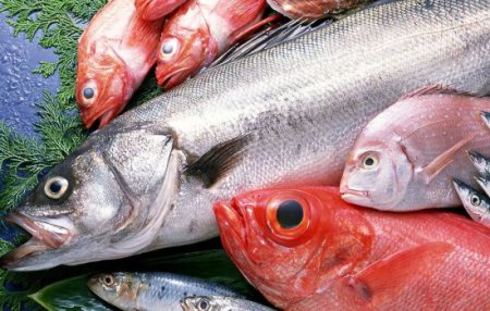 Полезные свойства морской рыбы